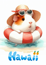 夏威夷的可愛天竺鼠