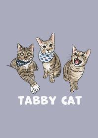 tabbycat2 / mist purple
