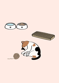 我養的小廢貓(三花貓咪)