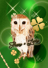 【あらゆる開運に】風水&フクロウ