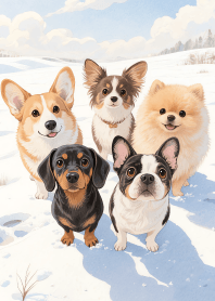 Cute Small Dog Theme