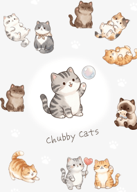 Gray, Round Kitties Part 1