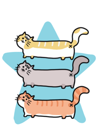 Cats all star!!