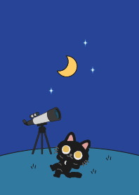 仰望星空_黑貓