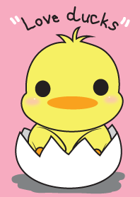 ธีมสีชมพูกับเป็ดเหลือง