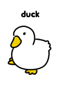 Cute white duck theme