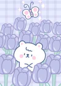 Purple tulip & Little bear