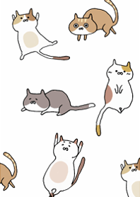 A carefree cat3