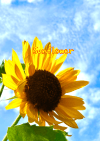 Summer Sunflower [Simple]_TKC
