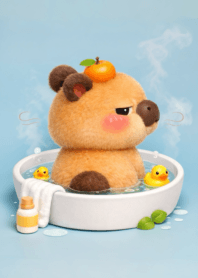 Capybara cute and chubby 3_17