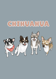 chihuahua3 / dusty blue
