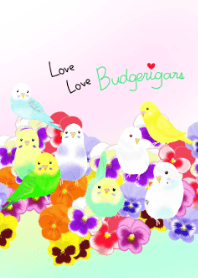 ♥️ＬＯＶＥ インコ♥️2