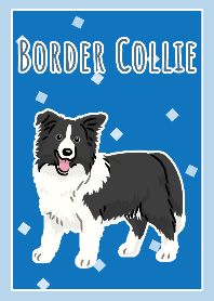 ボーダーコリー（ブラック）