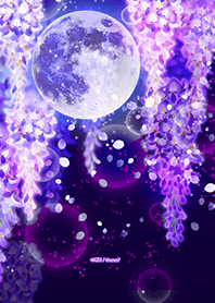 Full moon & wisteria flowers