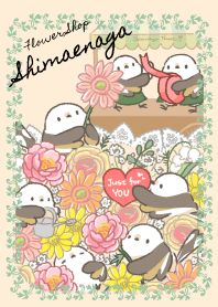 Little white bird SHIMAENAGA