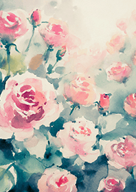 Beautiful rose flower(R4231)