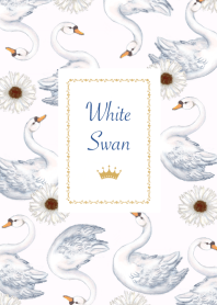 White swan