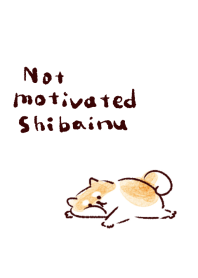 Not motivated Shiba inu White blue.