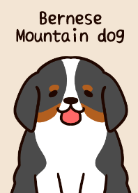 Tema Bernese Mountain Dog yang sederhana