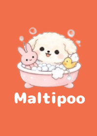 柔軟馬爾泰迪主題3 Red 05