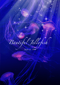 癒しのクラゲ Beautiful Jellyfish+