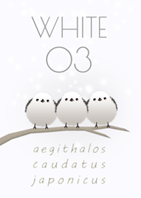 Aegithalos caudatus japonicus/White 03