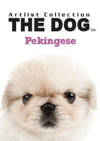 THE DOG ペキニーズ