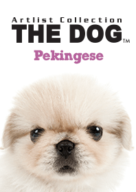 THE DOG Pekingese