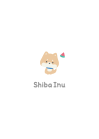 Shiba Inu3 Watermelon - White