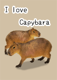 I love Capybara