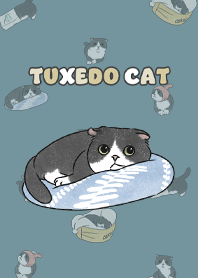 tuxedocat5 - teal blue