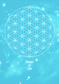 Milky Way&flower of life 8