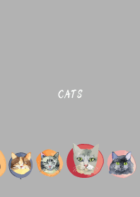 holiday cats on white