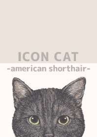 ICON CAT - American Shorthair - BEIGE/03