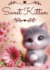 Sweet Kitten No.142