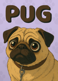 Pop and Cute Pug Theme Purple 04