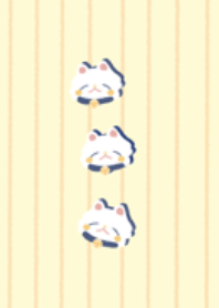 Jay Samoyed