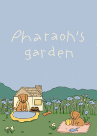 Pharaoh's garden
