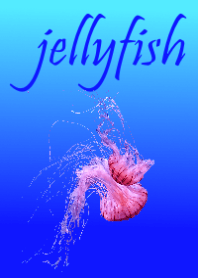 floating jellyfish