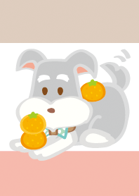 ミニチュアシュナウザーの秋と冬