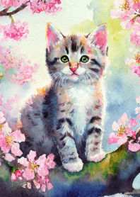 Cherry blossoms and kittens Vol.1