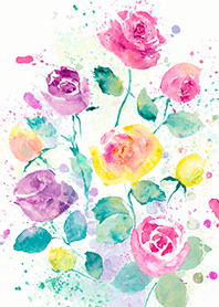 Beautiful rose flower(R4212)