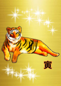 lucky gold Tiger 111