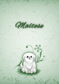 Lovely Dog -- Maltese