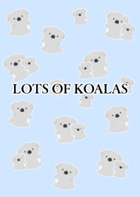 LOTS OF KOALASj-BLUE GRAY
