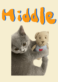 ！！！Middle大王駕到！！！
