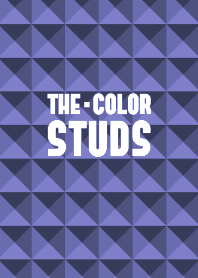THE COLOR STUDS THEME 142