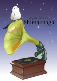 Longing for Spring Shimaenaga