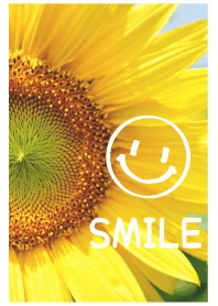 ＝Sunflower＝ 14