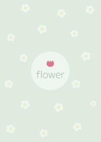 ดอกไม้ <ดอกทิวลิป> พิสตาชิโอ กรีน.
